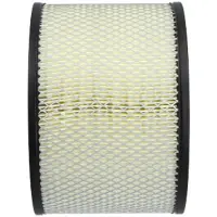 KAVO PARTS Luftfilter TA-183 für TOYOTA LAND CRUISER 90 (J9)