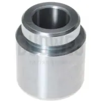 BUDWEG CALIPER Triscan Kolben, Bremssattel 8170 234519