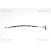 TRISCAN Bremsschlauch F10x1 & Banjo IAM-Expertise für u.a. HYUNDAI SANTA