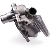 HEPU Wasserpumpe P697-TH