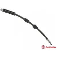 Brembo Bremsschlauch ESSENTIAL LINE T 23 181