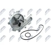 NTY Wasserpumpe CPW-PE-041