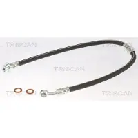 TRISCAN Bremsschlauch F10x1 & Banjo IAM-Expertise für u.a. NISSAN X-TRAIL
