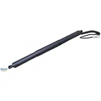BUGIAD BRD50703 Gasfeder Heckklappendämpfer für BMW X5 (F15, F85)