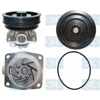 Saleri SIL Wasserpumpe PA732P