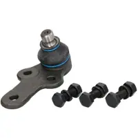 REINHOCH Traggelenk Vorne Rechts Vorne Links Unten für FORD Fiesta Mk5 Schrägheck (JH1, JD1, JH3, JD3) RH03-4005