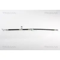 TRISCAN Bremsschlauch F10x1 & Banjo IAM-Expertise für KIA MAGENTIS