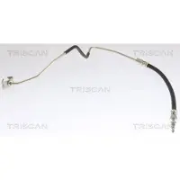 TRISCAN Bremsschlauch M10x1 & M10x1 IAM-Expertise für u.a. CITROËN JUMPY