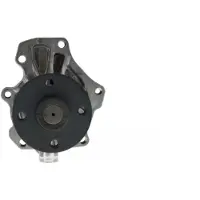 AISIN Kühlmittelpumpe Wasserpumpe für TOYOTA RAV 4 III (ACA3, ACE, ALA3, GSA3, ZSA3) WPTS-008