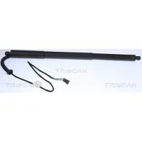 TRISCAN Gasfeder Koffer-/Laderaum Hub 182 mm IAM-Expertise passend für BMW X3