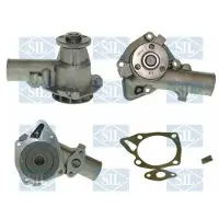 Saleri SIL Wasserpumpe PA252