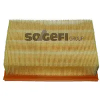 FRAM Luftfilter CA5854