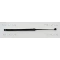 TRISCAN Gasfeder, Koffer-/Laderaum 8710 42244