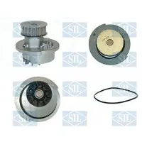 Saleri SIL Wasserpumpe PA437P
