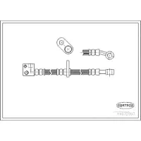 CORTECO Bremsschlauch ERSTAUSRÜSTERQUALITÄT [Hersteller-Nr. 19032983] für Honda