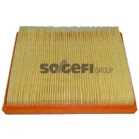 FRAM Luftfilter CA9054