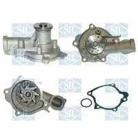 Saleri SIL Wasserpumpe PA892