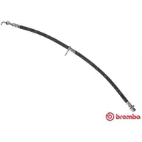 Brembo Bremsschlauch ESSENTIAL LINE T 11 014
