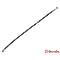 Brembo Bremsschlauch ESSENTIAL LINE T 56 151