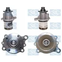 Saleri SIL Wasserpumpe PA658