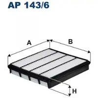 FILTRON Luftfilter AP 143/6