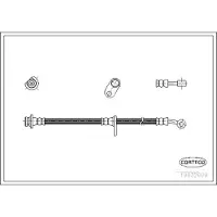 CORTECO Bremsschlauch ERSTAUSRÜSTERQUALITÄT [Hersteller-Nr. 19032669] für Honda