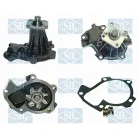 Saleri SIL Wasserpumpe PA958