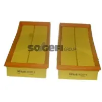 PURFLUX Luftfilter A1207-2