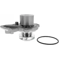 VAICO Wasserpumpe [Hersteller-Nr. V10-50103] für Skoda, Seat, VW, Audi