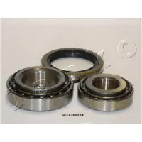 Japko Radlagersatz Hinten für KIA CARNIVAL II (GQ) 68,3mm 420309