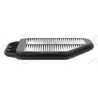 Champion Luftfilter CAF100939P