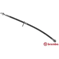 Brembo Bremsschlauch ESSENTIAL LINE T 23 197