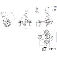 FEBI BILSTEIN Trag-/Führungsgelenk 183622