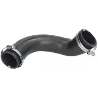 THERMOTEC Ladeluftschlauch DCV020TT Rechts