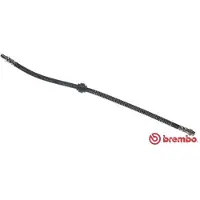 Brembo Bremsschläuche PEUGEOT,CITROËN T 61 036 480691,96037347,440019019115 Bremsschlauch 440019025870,HOS3290,168014,480685,4806E9,96132698