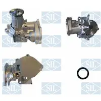 Saleri SIL Wasserpumpe PA1572