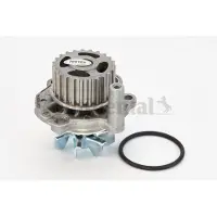 CONTINENTAL CTAM Wasserpumpe WP6041
