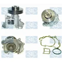 Saleri SIL Wasserpumpe PA466P