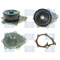 Saleri SIL Wasserpumpe PA1441