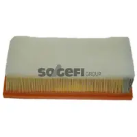 FRAM Luftfilter CA10224