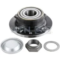 SNR Radlagersatz R166.24