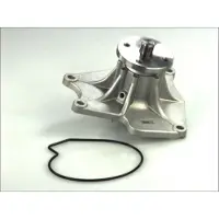 THERMOTEC Wasserpumpe D15000TT