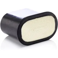 Mann Luftfilter CP 25 150