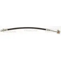 TRISCAN Bremsschlauch F10x1 & Banjo IAM-Expertise für TESLA MODEL