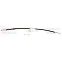 TRISCAN Bremsschlauch 8150 18191