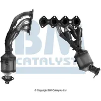 BM CATALYSTS Katalysator BM91646H