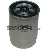 FRAM Kraftstofffilter PS9789