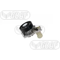 Graf Wasserpumpe PA1500