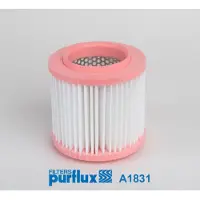 PURFLUX Luftfilter A1831 für AUDI A8 (4E2, 4E8) Filtereinsatz