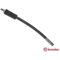 Brembo Bremsschläuche AUDI T 85 066 8D0611775D Bremsschlauch